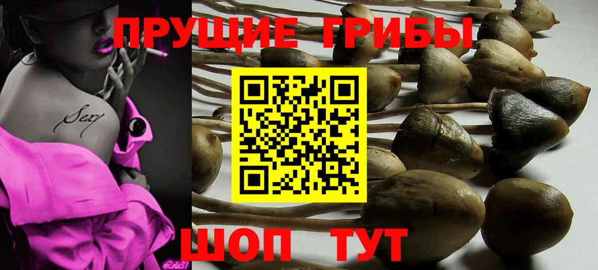 Псилоцибиновые грибы ЛСД Чехов