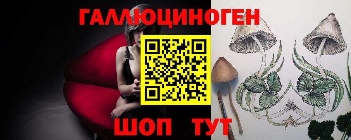 Псилоцибиновые грибы прущие грибы  Вход с VPN  Чехов 